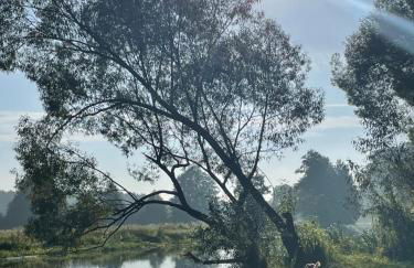 Guesthouse with 3 apartments, just outside Berlin, near to Tesla - Foto 29