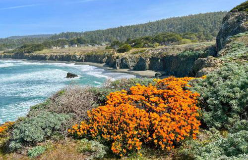 Wild Meadow - Foto 33