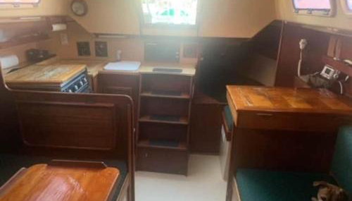 Sailboat Experience in Annapolis - Foto 5