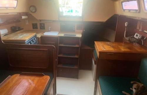 Sailboat Experience in Annapolis - Foto 5