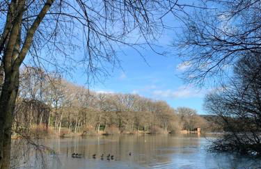 Tranquil Watermill - Foto 20