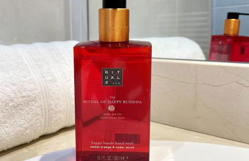 ROOFTOP - COSY FLAT Centre Senlis - Foto 18