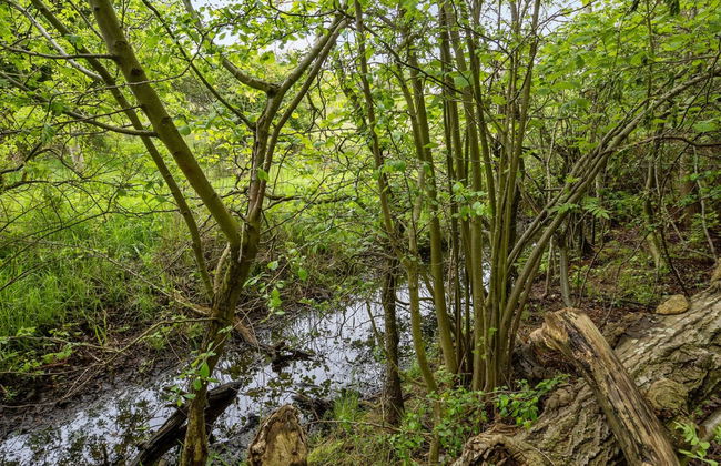 "Thrugels" - 200m from the sea - Foto 18