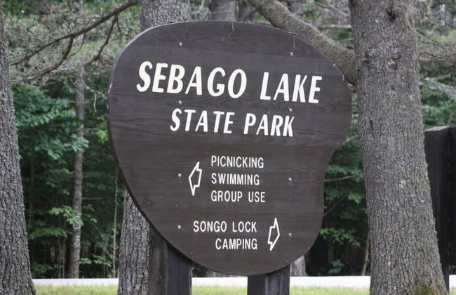 Denmark Stage Stop House - Photo 66