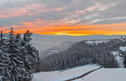 Vidora Apartments - Foto 78