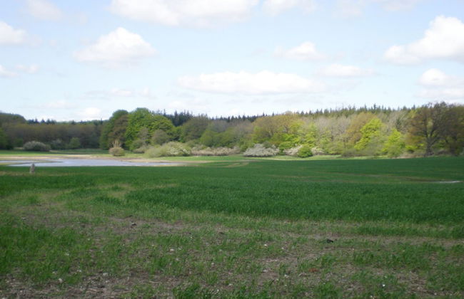 "Thia" - 4km to the fjord - Foto 8