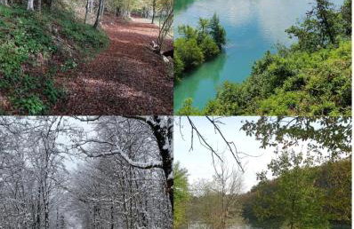 Mrežnica - Zelena oaza II - Foto 34