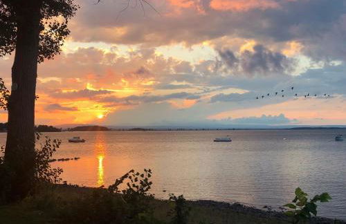 Life on the Lake - Foto 3