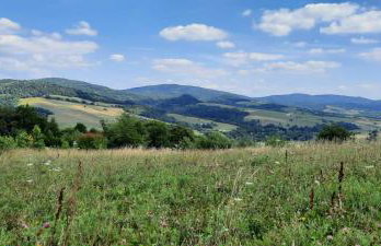 DOMEK LETNISKOWY MYSCÓWKA - Foto 29