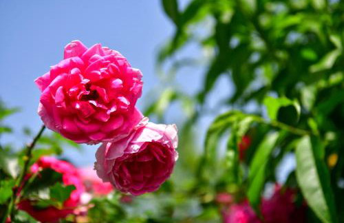 Apartman PLUM PLITVICE - Foto 46