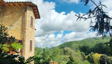 Agriturismo L'Essiccatoio - Photo 4