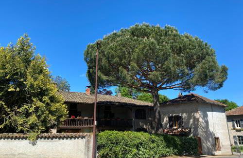 Maison de charme, Maison carrée - Foto 7