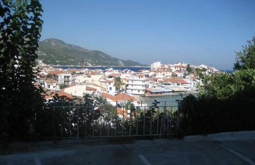 Kamelia - Foto 2