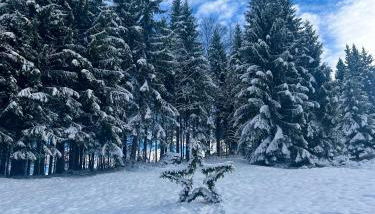 FeWo Alpenherz im Allgäu, mit Balkon und Bergblick - Foto 4