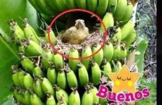 Suite Bufadero - Foto 52