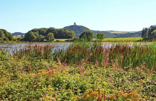 FeWo Ferber - Foto 46