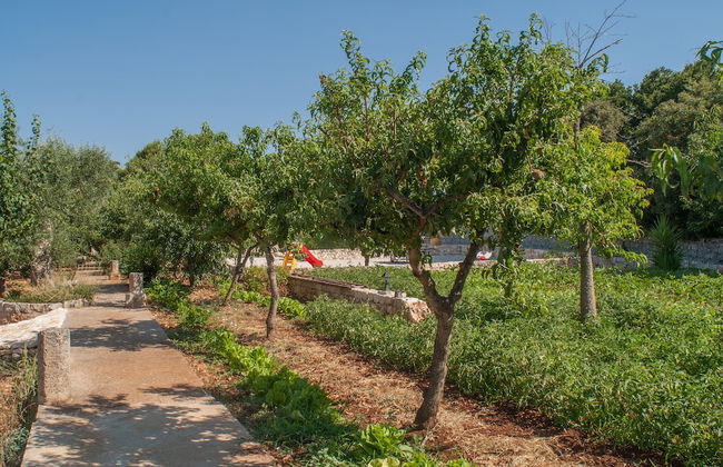 Agriturismo Antonelli Piangevino - Foto 47