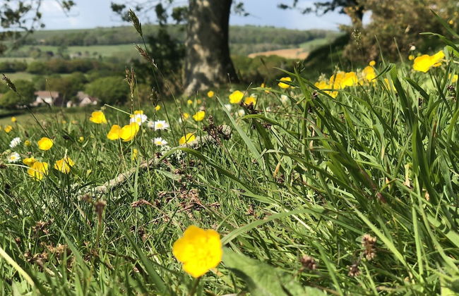 Queen Bower Farm Lodge - Foto 42