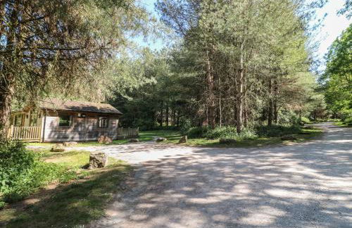 Sycamore Lodge - Foto 21