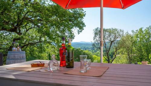 Location Maison de Vacances Provence, Var, Sud - Foto 5