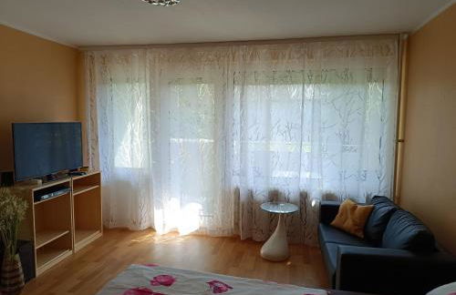 Offenburg Apartment - Foto 6