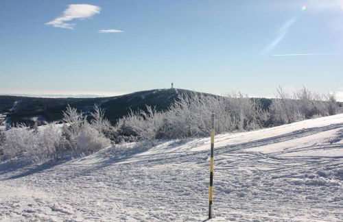 Appartements Gahler - Kurort Oberwiesenthal - Foto 46
