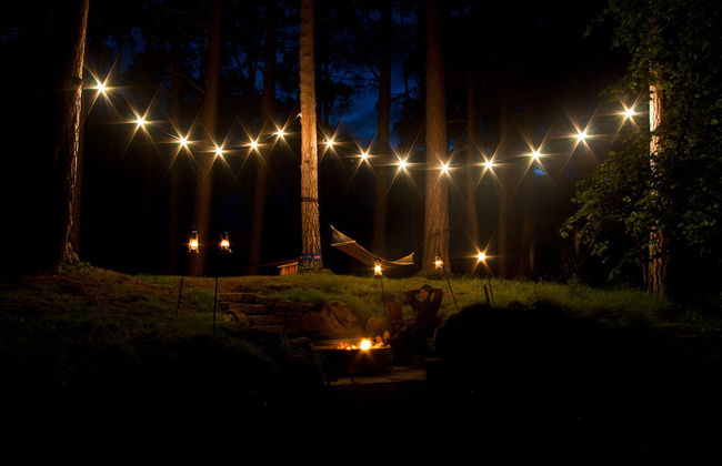 The Dell of Abernethy - Photo 72