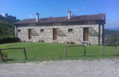 Le Chianine dei Tognoli - Foto 20