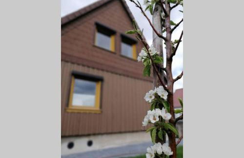 Harzhaus Ida - Foto 3