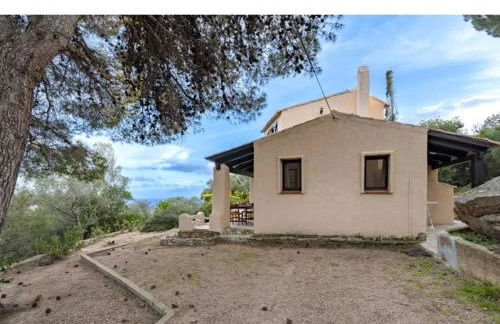 Villa 65m2 7 pers - Rondinara, Bonifacio - Foto 29