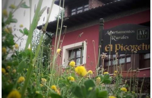 Apartamentos El Picoretu - Foto 6