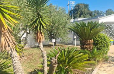 Le Dune di Circe - Foto 8