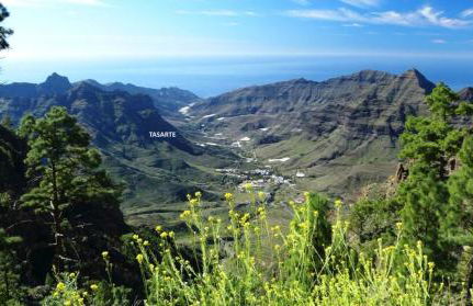 Casita Feliz - Casa Rural Tasarte by Villas Rivero - Foto 36