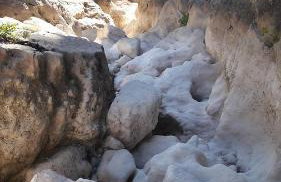 Šimun&Jakov - Foto 78