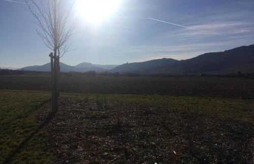 Apartment in Dambach near Vineyards - Foto 20