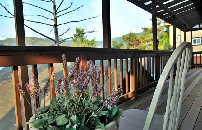 Castel on the hill pension - Photo 42