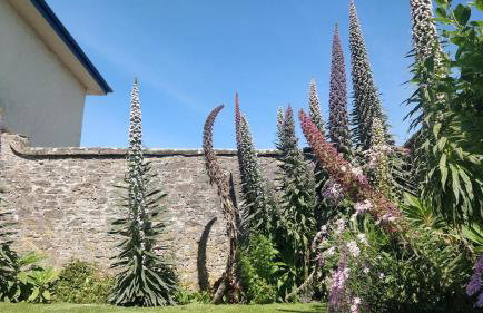 Elberry Farm - unique seaside farmhouse - Foto 19