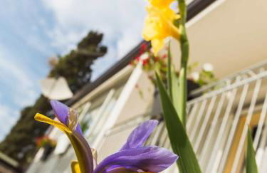 Villa Matilde - Foto 71