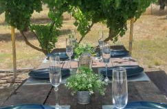 Monte do Rochinha - Foto 66