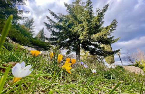 Mazzetti Country House-Vita in campagna con giardino - Foto 19