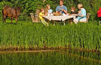 Urlaubsreiterhof Trunk - Foto 50