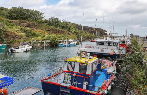Bryn Llwyd Cottage - Photo 35
