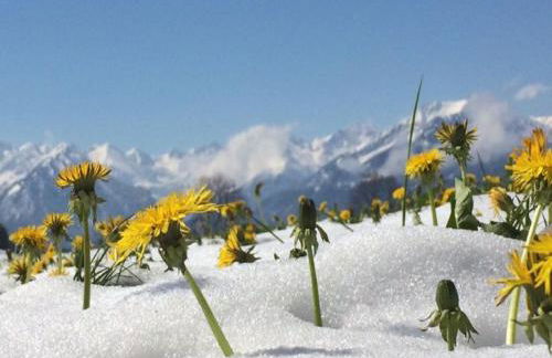 Hemerhof - Ferienwohnungen - Foto 15