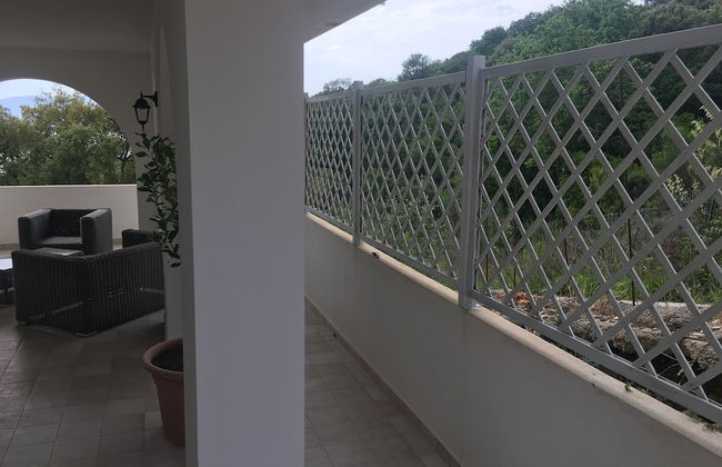 La Bouganville - Foto 40