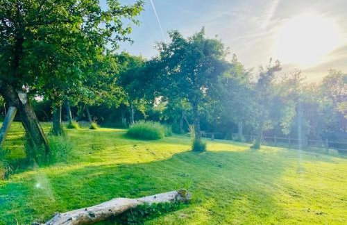 The Apple Shed - cosy cabin nestled in orchard in rural Devon - Foto 30