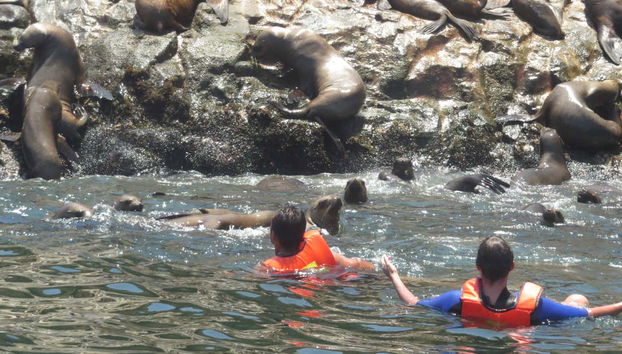 Giro in barca alle isole Palomino - Foto 5