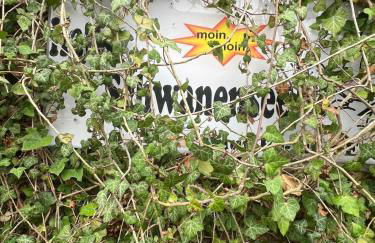 Idyllische Wohnung mit Terrasse und Seezugang - Foto 33