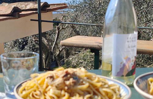 Massaciuccoli Romana - Foto 22