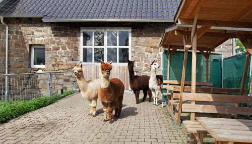 Ferienwohnung auf dem Ennerthof - Foto 2