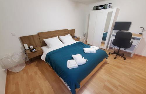 Le Pied-à-Terre de Fenières - T2 à 10mins de Genève et du CERN ! - Foto 1